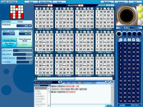 Bingo screenshot